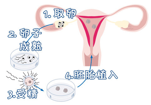 承济医学中心